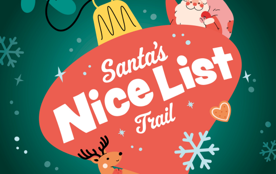 CSE-Santas-Nice-List
